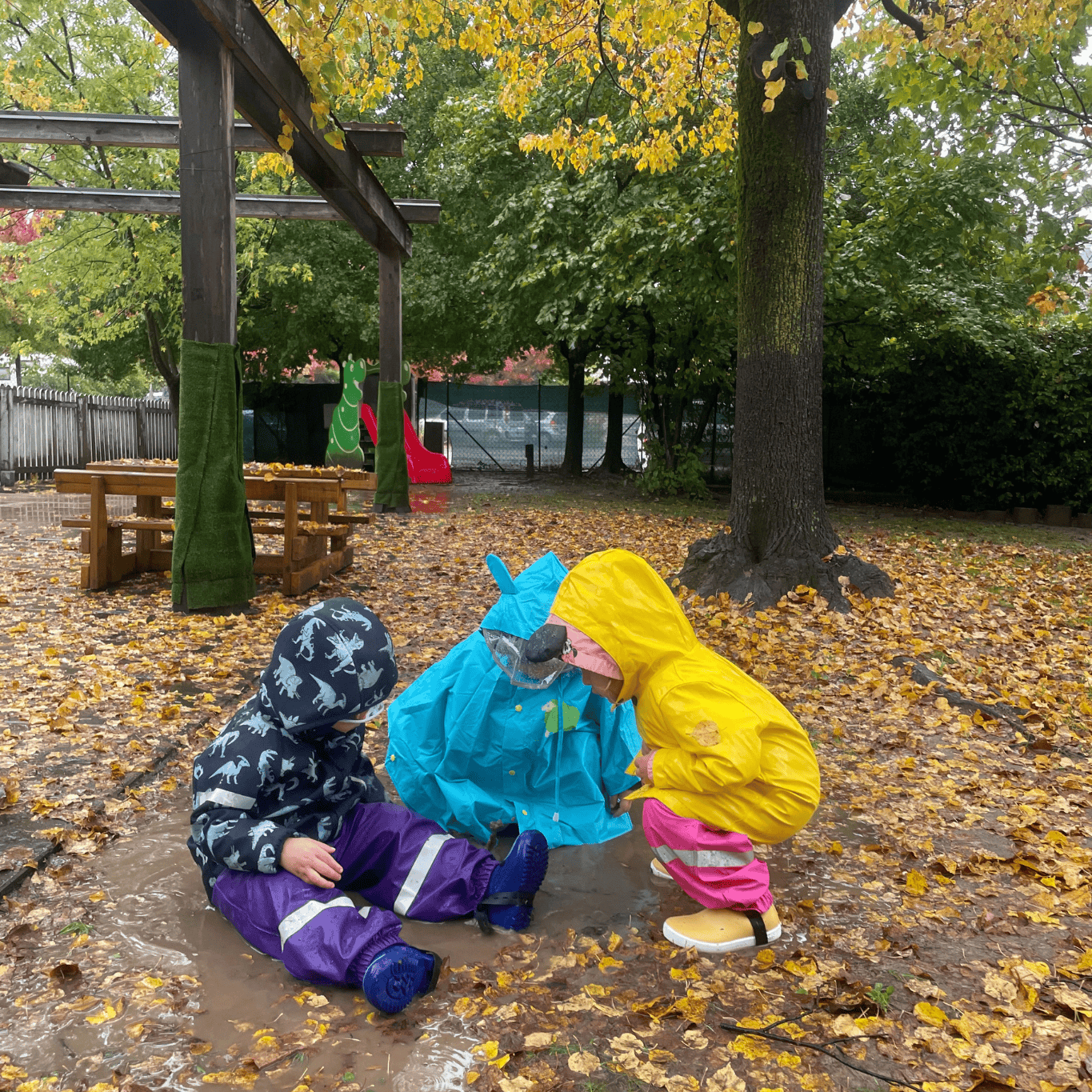 Cognola giardino box