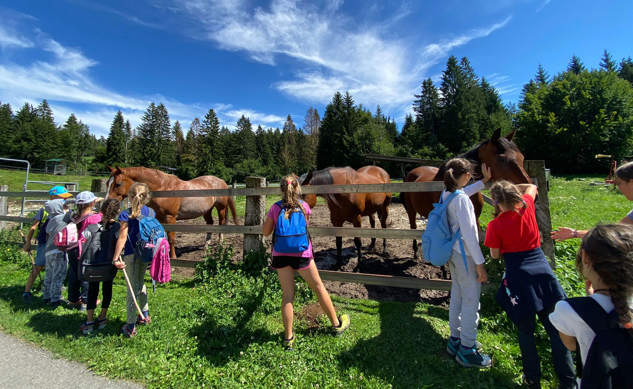 Lavarone-estivo-slider1-ex