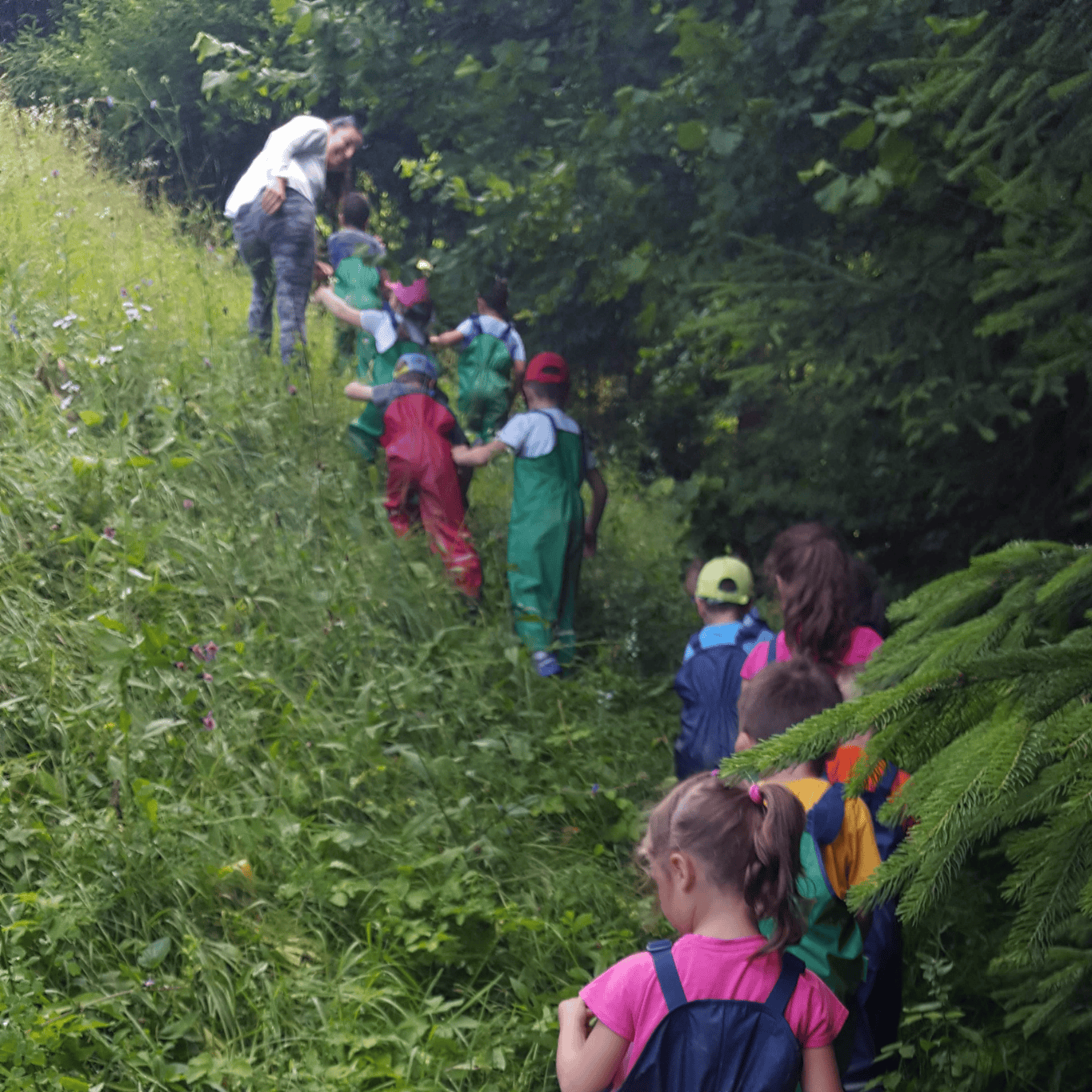 Cammino nel bosco