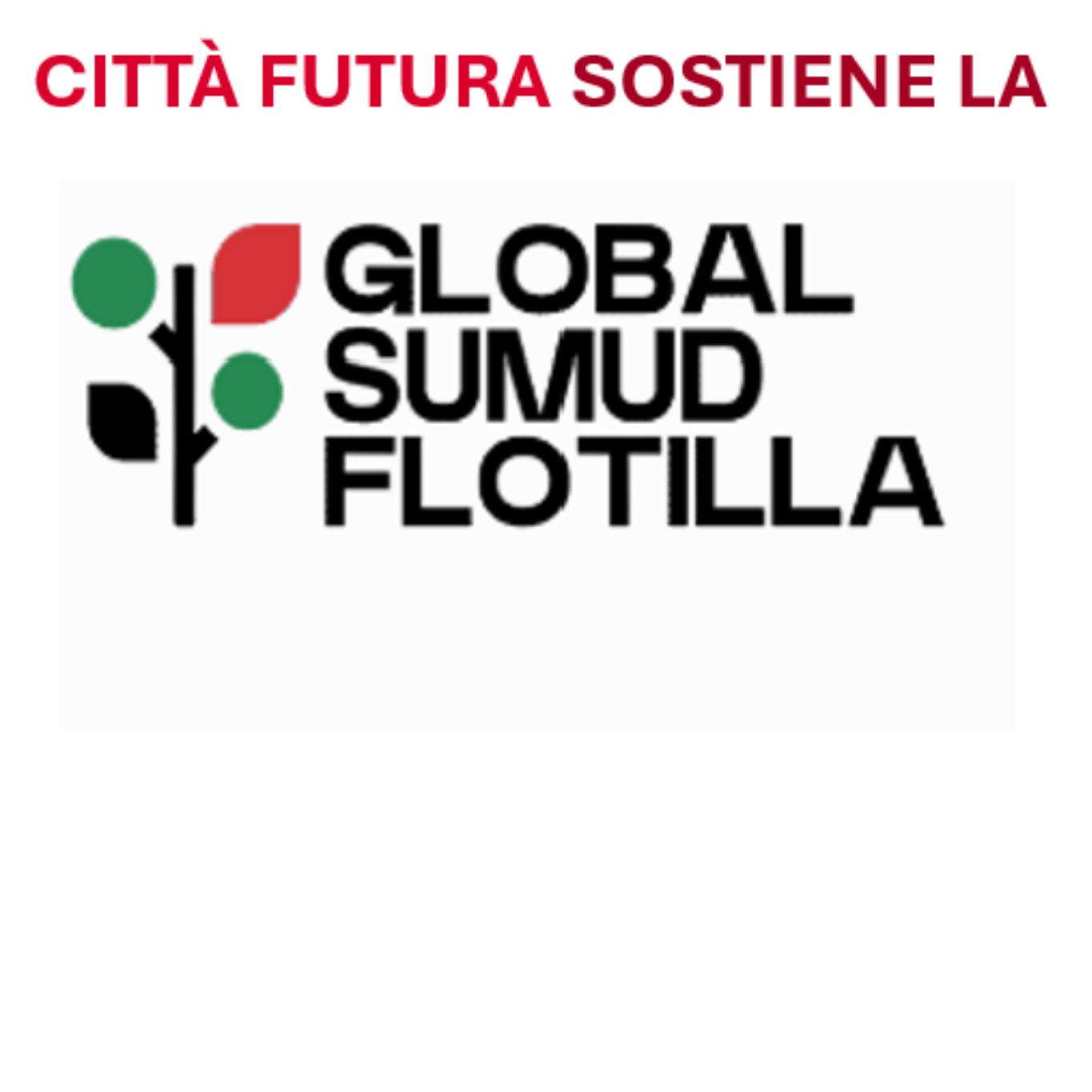 Global flottilla quadrato