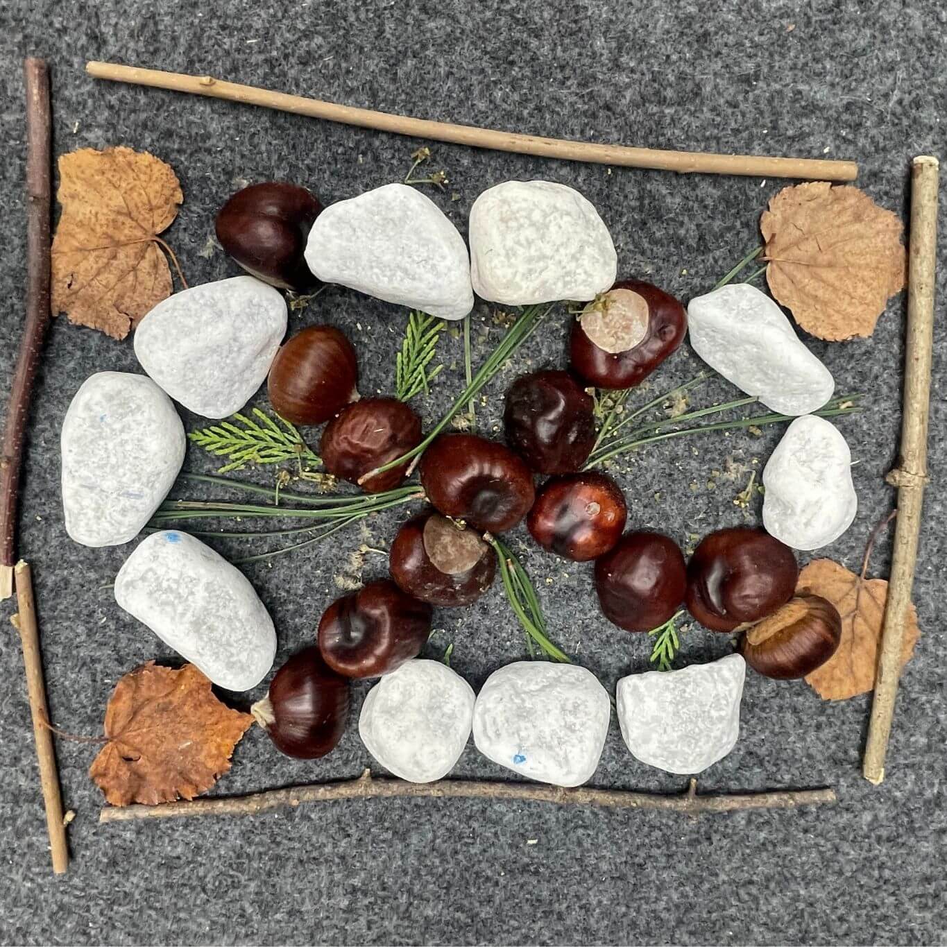 lab montagna quadrata 3