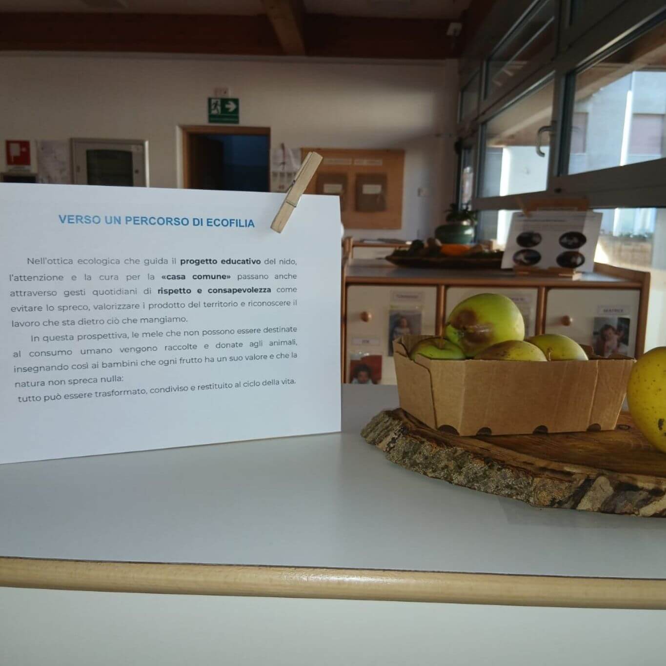 Documentazione-mele-quadrata