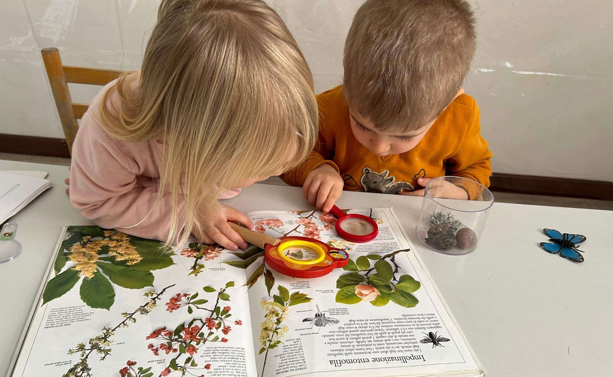 Bambini-Vigolo-libro