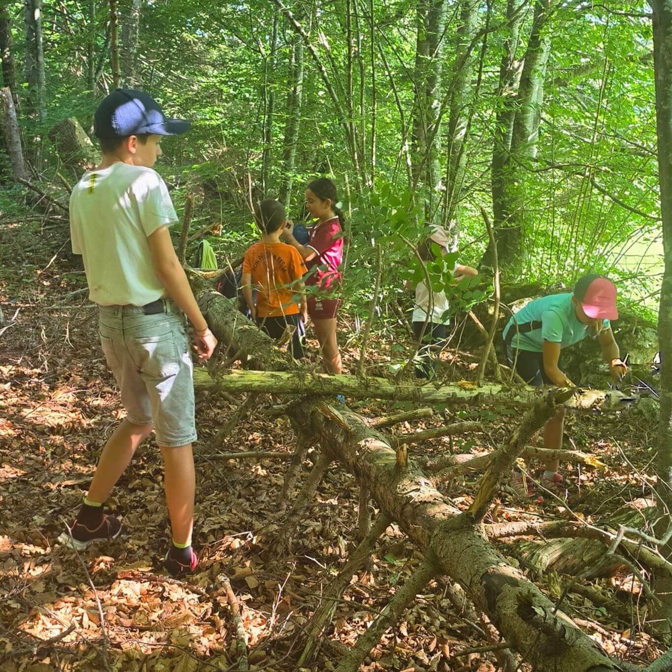 Costruire-bosco-1