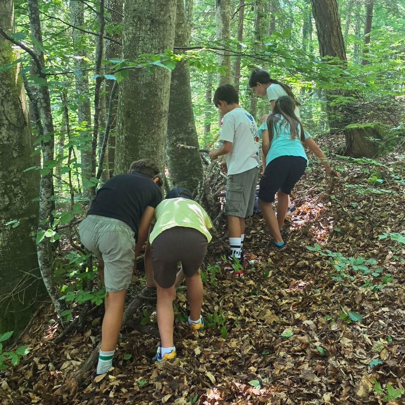 Costruire-bosco-3