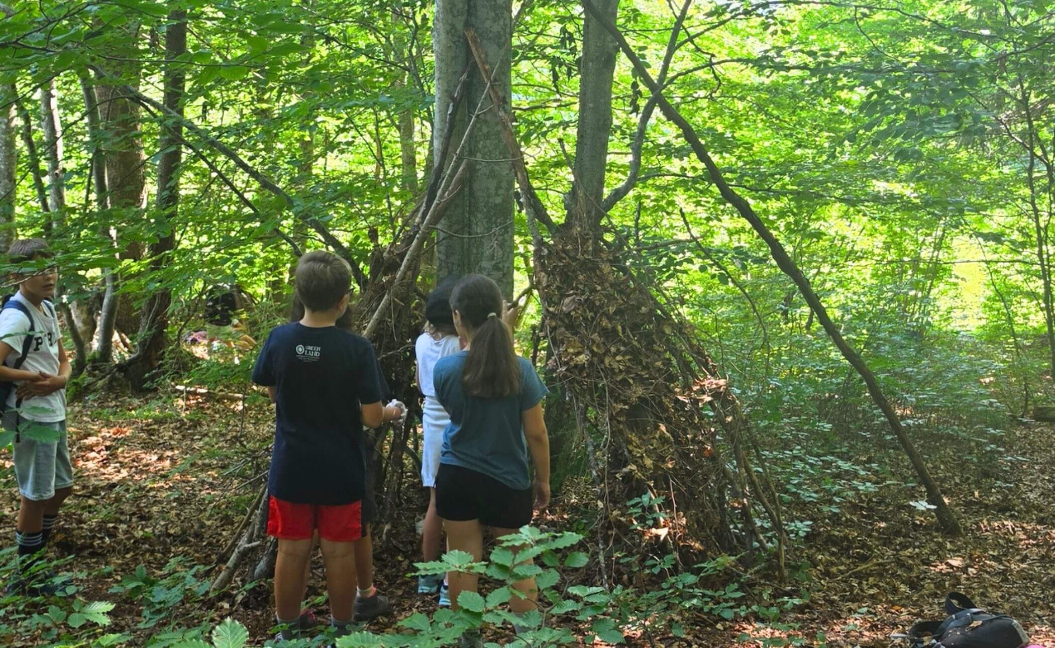 Costruire-bosco-5